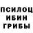 Галлюциногенные грибы Cubensis Niilo Jarvelainen