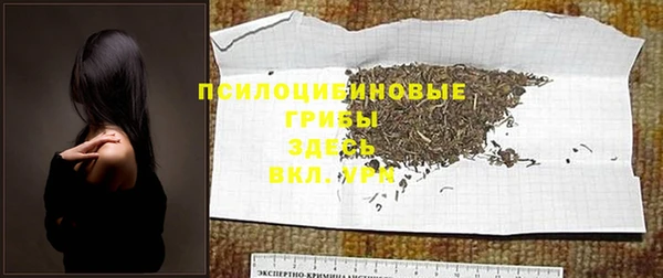 ECSTASY Покровск