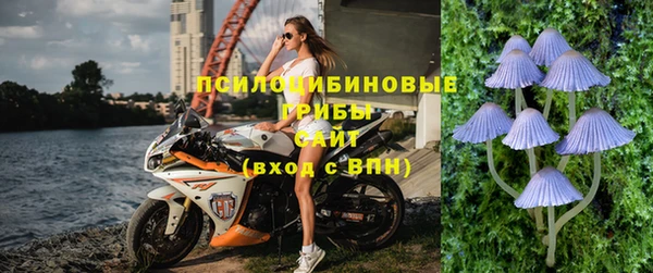 ECSTASY Покровск