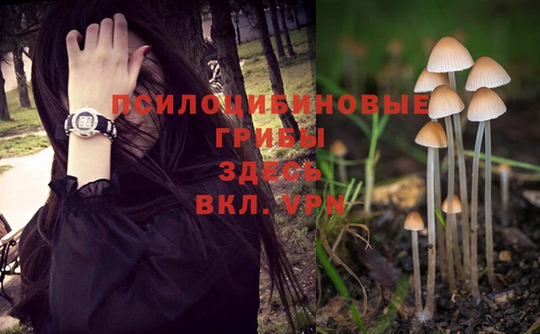 кристаллы Покачи